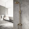 Colonne bain douche mitigeur, bronze Lagor
